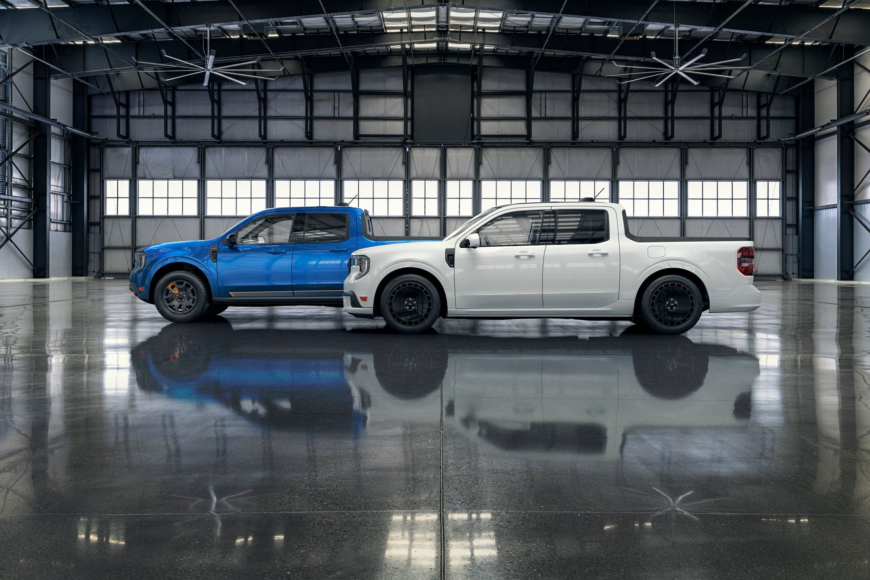 Blue and white Ford Trucks