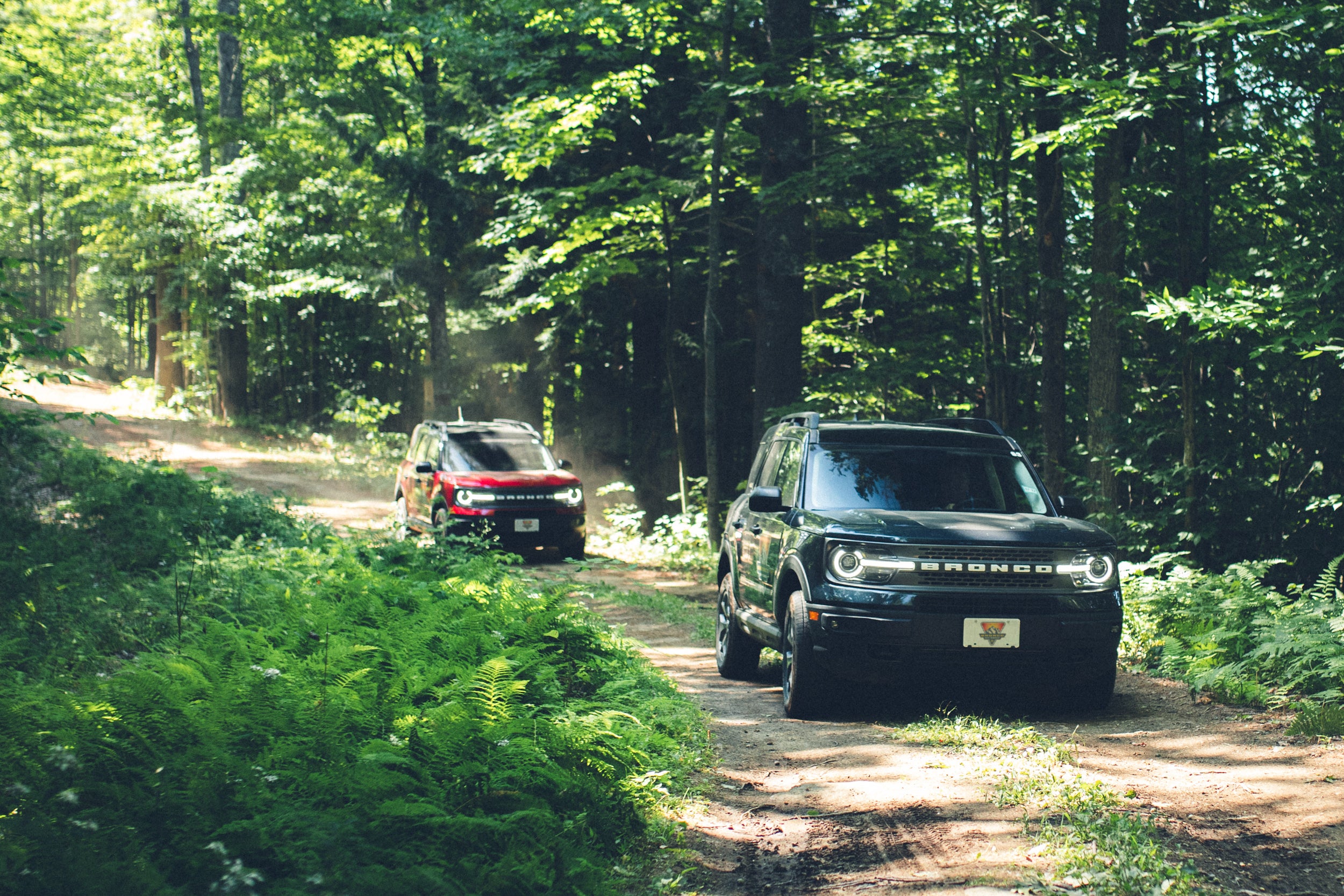 Ford Dealer near Fowlerville MI